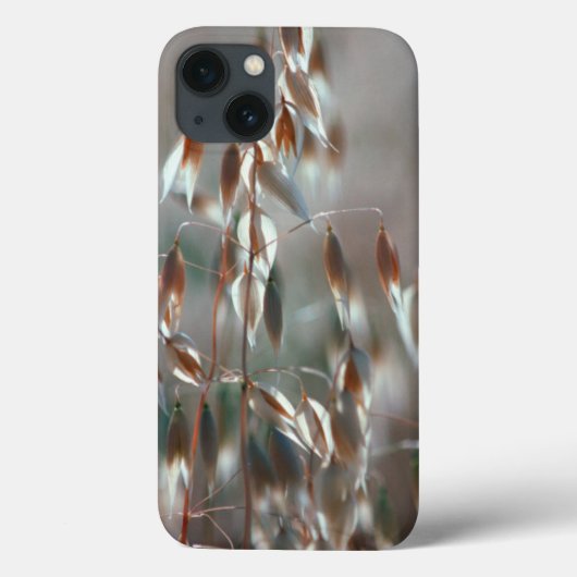 Coques Case-Mate iPhone Avoine Mûre (Avena Sativa) Gros Plan. Ceres, Bolan (Verso)