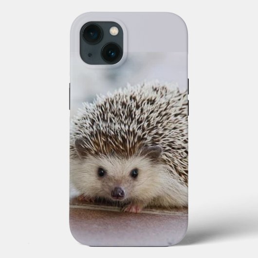 Coques Case-Mate iPhone Baby hedgehog (Verso)