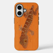 Coques Case-Mate iPhone Baby Tokay Gecko (Verso)