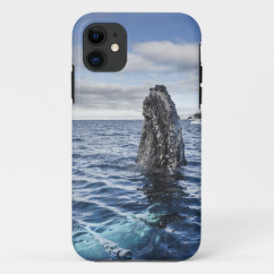 Coque Case-Mate Pour iPhone Baie d'espoir de Spyhops de baleine de bosse,