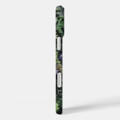 Coques Case-Mate iPhone Baies bleues sauvages (Verso / Droite)