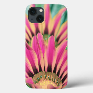 iPhone 13 Coque Baise chaude rose africaine