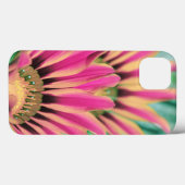 Coques Case-Mate iPhone Baise chaude rose africaine (Verso (horizontal))