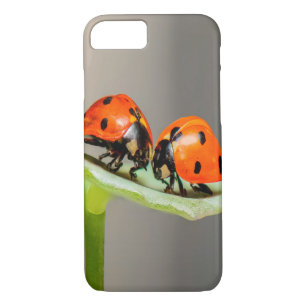Case-Mate iPhone Case Baiser Ladybugs