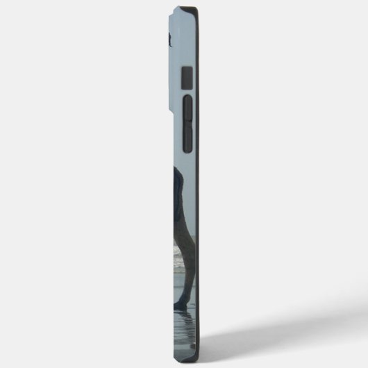 Coques Case-Mate iPhone Balade en chameaux tribaux : Marée matinale Sables (Verso / Gauche)