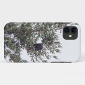 Coques Case-Mate iPhone Bald Eagle P2825 (Dos (Horizontal))