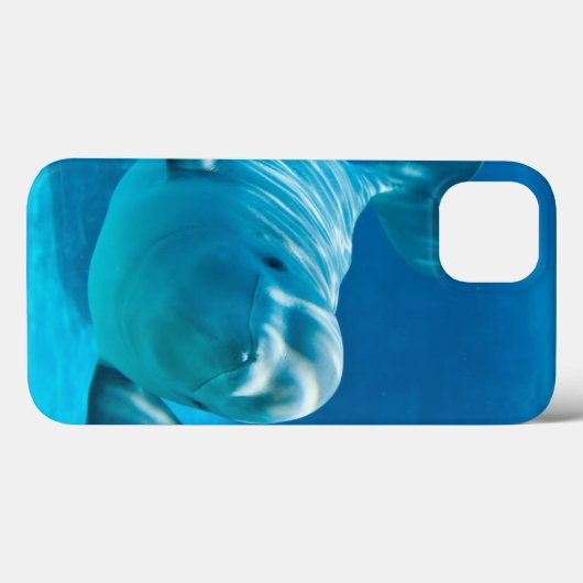Coques Case-Mate iPhone Baleine de beluga (Verso (horizontal))