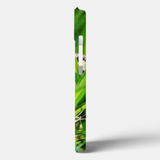 Coques Case-Mate iPhone Ball Python serpent dans l'herbe (Verso / Gauche)