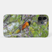 Coques Case-Mate iPhone Baltimore Oriole (Dos (Horizontal))