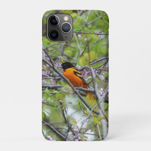 Coques Case-Mate iPhone Baltimore Oriole (Dos)