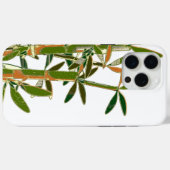 Coques Case-Mate iPhone Bambou vert isolé sur fond blanc (Verso (horizontal))