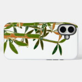 Coques Case-Mate iPhone Bambou vert isolé sur fond blanc (Verso (horizontal))