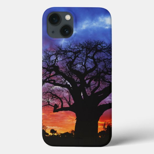 Coques Case-Mate iPhone Baobab africain, Adansonia digitata, 2 (Verso)