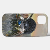 Coques Case-Mate iPhone Barbet, Chien d'eau français (Verso (horizontal))