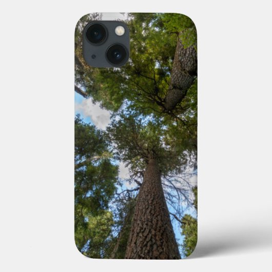 Coques Case-Mate iPhone Barrage de Douglas Fir (Verso)