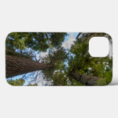 Coques Case-Mate iPhone Barrage de Douglas Fir (Verso (horizontal))