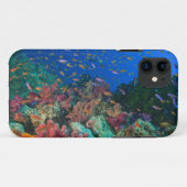 Coques Case-Mate iPhone Basslets fées en banc (Pseudanthias squaminipinnis (Dos (Horizontal))