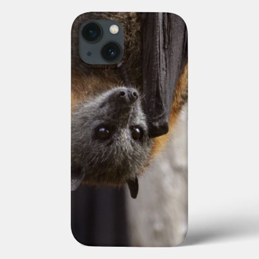 Coques Case-Mate iPhone Bat australien (Verso)