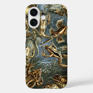 Coques iPhone 16 Batrachie de grenouilles vintages et de crapauds p