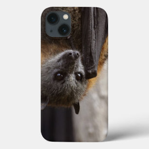 Etui iPhone Case-Mate Batte australienne