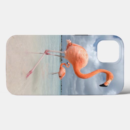 Coques Case-Mate iPhone Beaches tropicales | Flamingos Beach, Aruba (Verso (horizontal))