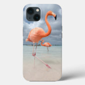 Coques Case-Mate iPhone Beaches tropicales | Flamingos Beach, Aruba (Verso)