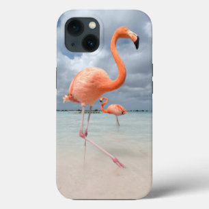 Case-Mate iPhone Case Beaches tropicales Flamingos Beach, Aruba