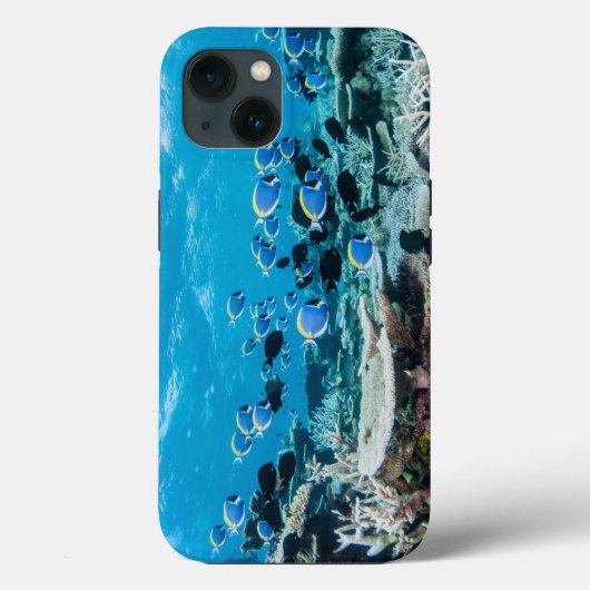 Coques Case-Mate iPhone Beaches tropicales | Sturgeon (Verso)