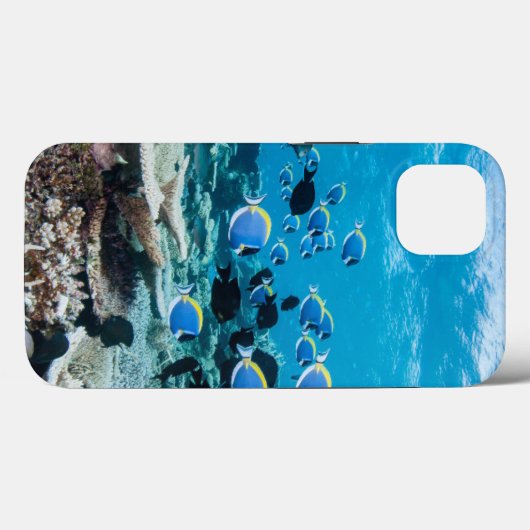 Coques Case-Mate iPhone Beaches tropicales | Sturgeon (Verso (horizontal))