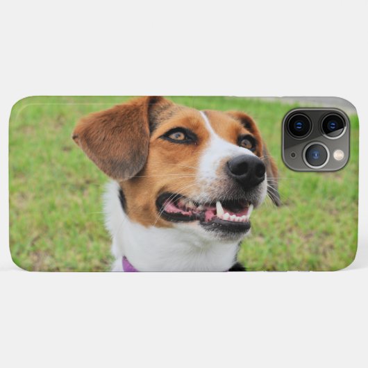 Coques Case-Mate iPhone Beagle (Dos (Horizontal))
