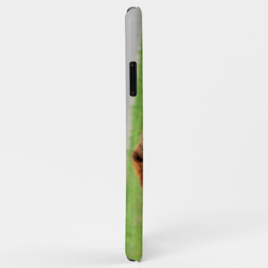 Coques Case-Mate iPhone Beagle (Dos/Droite)