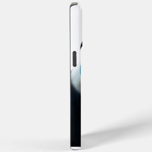 Coques Case-Mate iPhone Bear phone case  (Verso / Droite)