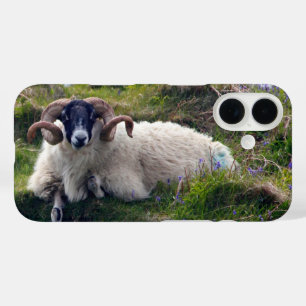 Coques iPhone 16 Beau bélier à cornes cendrées à Bluebells
