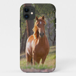 Coque iPhone 11 Beau cas de l'iPhone 5 de cheval pour des amants