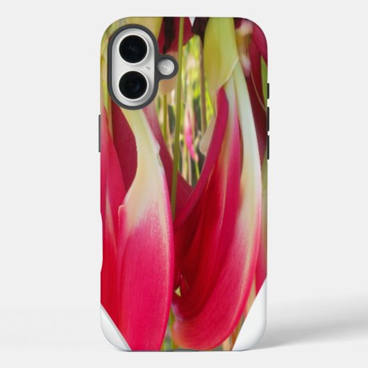 Coques Case-Mate iPhone Beau cool Extraordinaire Hakuna Matata Heart.png (Verso)