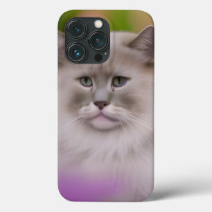 Case-Mate iPhone Case Beau Maine Coon Himalayan Chat