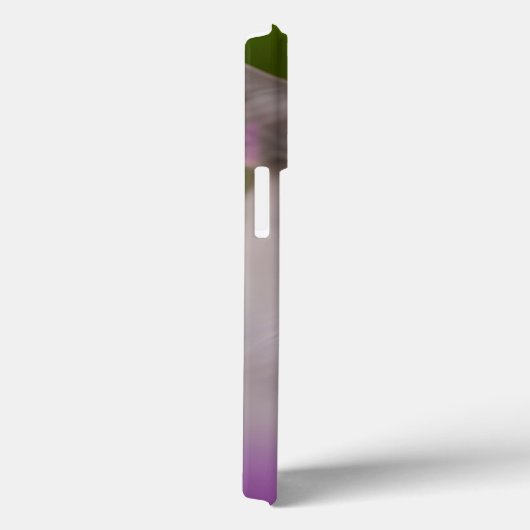 Coques Case-Mate iPhone Beau Maine Coon Himalayan Chat (Verso / Droite)