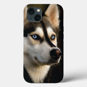 Case-Mate iPhone Case Beau Oreiller Husky Lrow