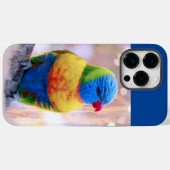 Coques Case-Mate iPhone Beau perroquet multicolore (Verso (horizontal))