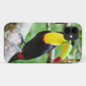 Coques Case-Mate iPhone Beau toucan (Dos (Horizontal))