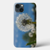 Coques Case-Mate iPhone Beauté d'un pissenlit (Verso)