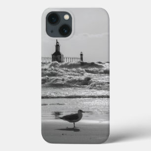 iPhone 13 Coque Beauté Et Niveaux De Gris Force