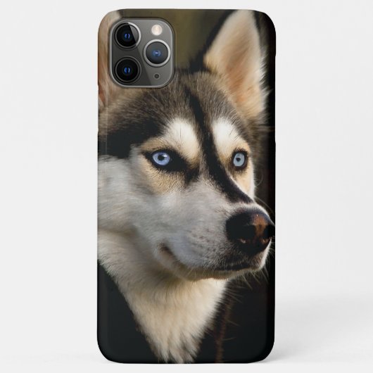 Coques Case-Mate iPhone Beautiful Husky Throw Pillow (Dos)