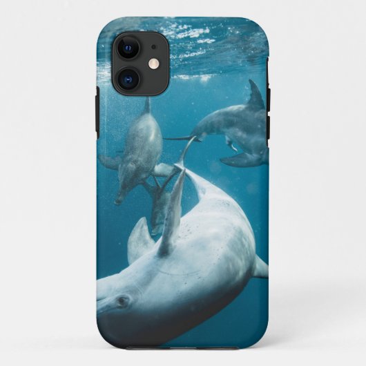 Coques Case-Mate iPhone Beaux dauphins mignons (Dos)