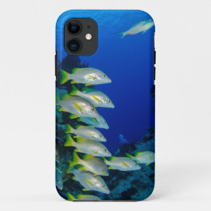 Case-Mate iPhone Case Beaux Poissons colorés Meilleur cadeau pour la v