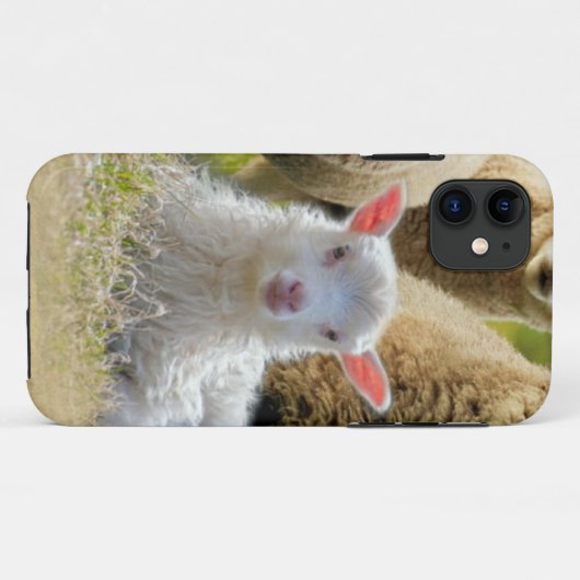 Coques Case-Mate iPhone Bébé agneau mouton troupeau troupeau troupeau (Dos (Horizontal))