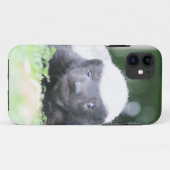 Coques Case-Mate iPhone Bébé blaireau au miel (Dos (Horizontal))