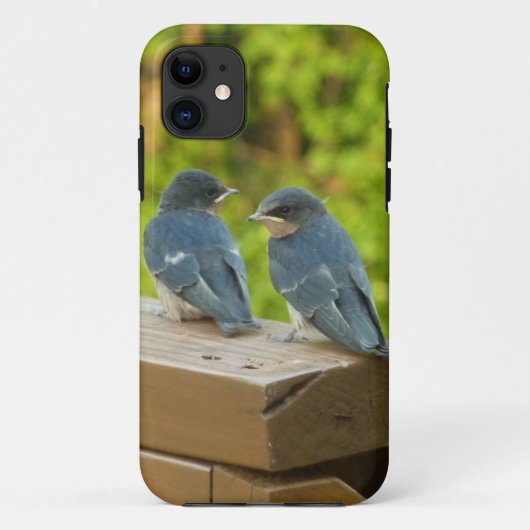 Coques Case-Mate iPhone Bébé Grange hirondelle Nature Oiseau Photographie (Dos)