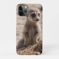 Bébé Meerkat Jouant Dans Le Sable,