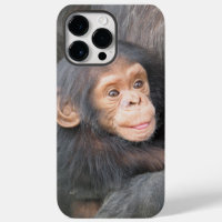 Bébé mignon Chimpanzé Photo